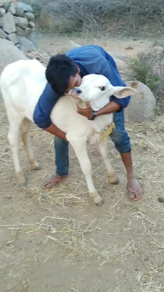 @Prasad yadav 143