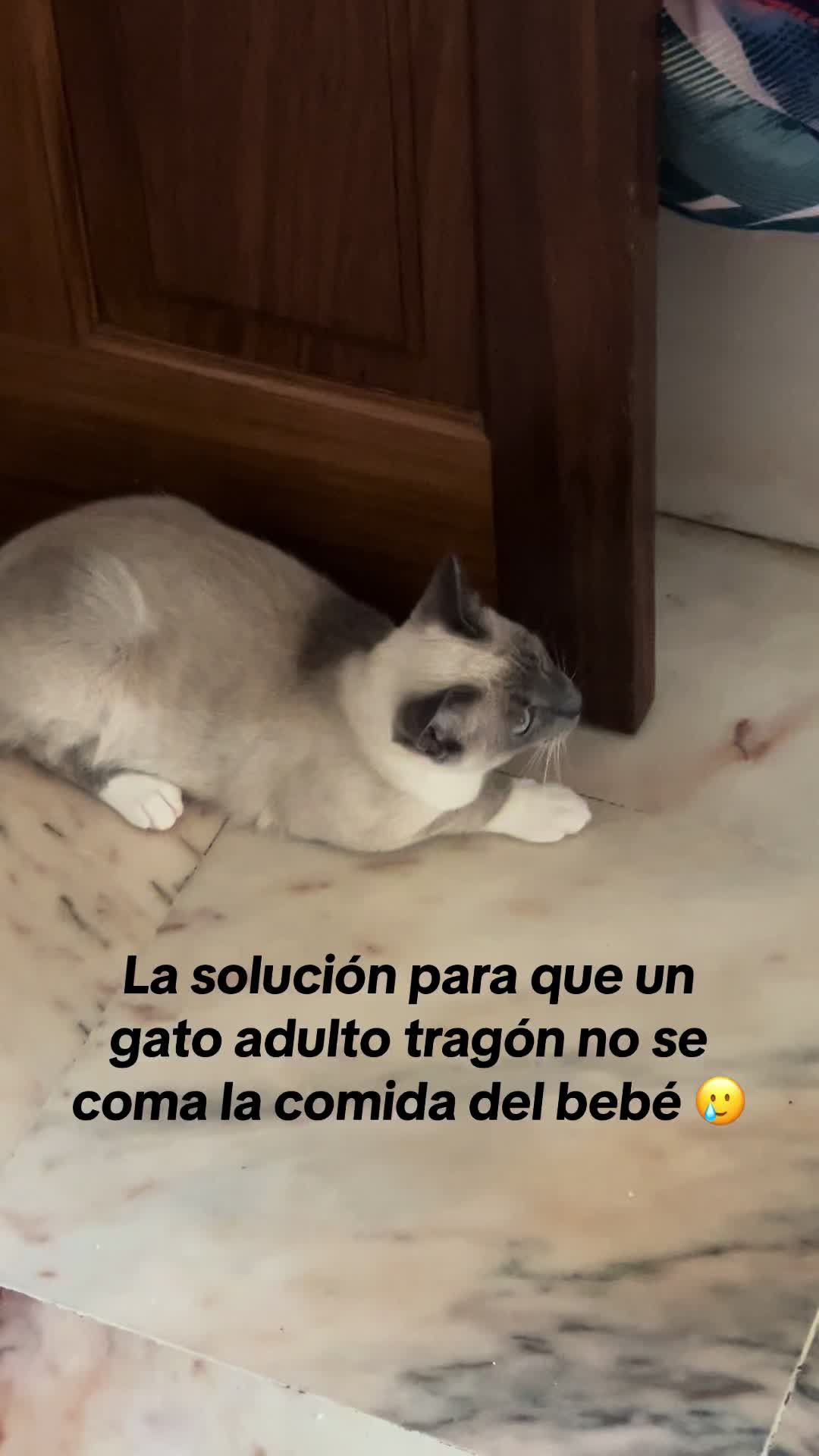 @Irene Cuadrado