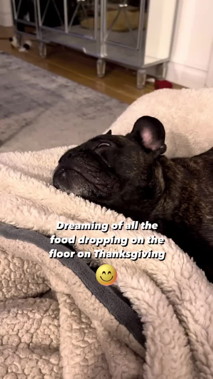 @Frankenstein Kennels