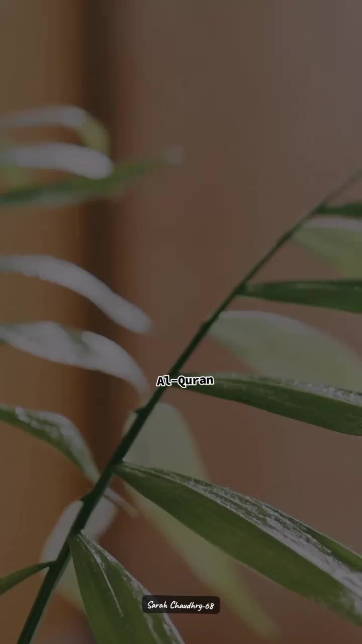 @🦋✨