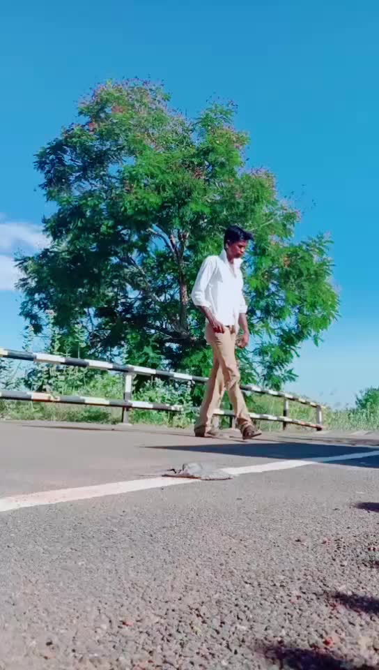 @VR. டங்கி
