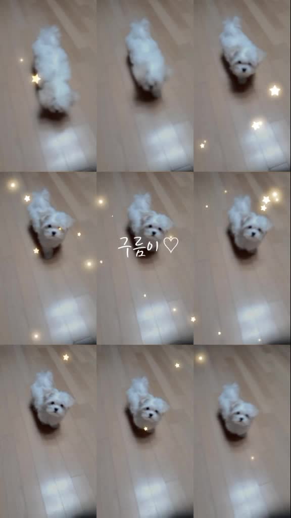 @구름이의 일상