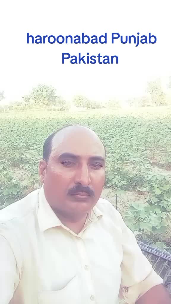 @ARAIN SHEHZADA 440