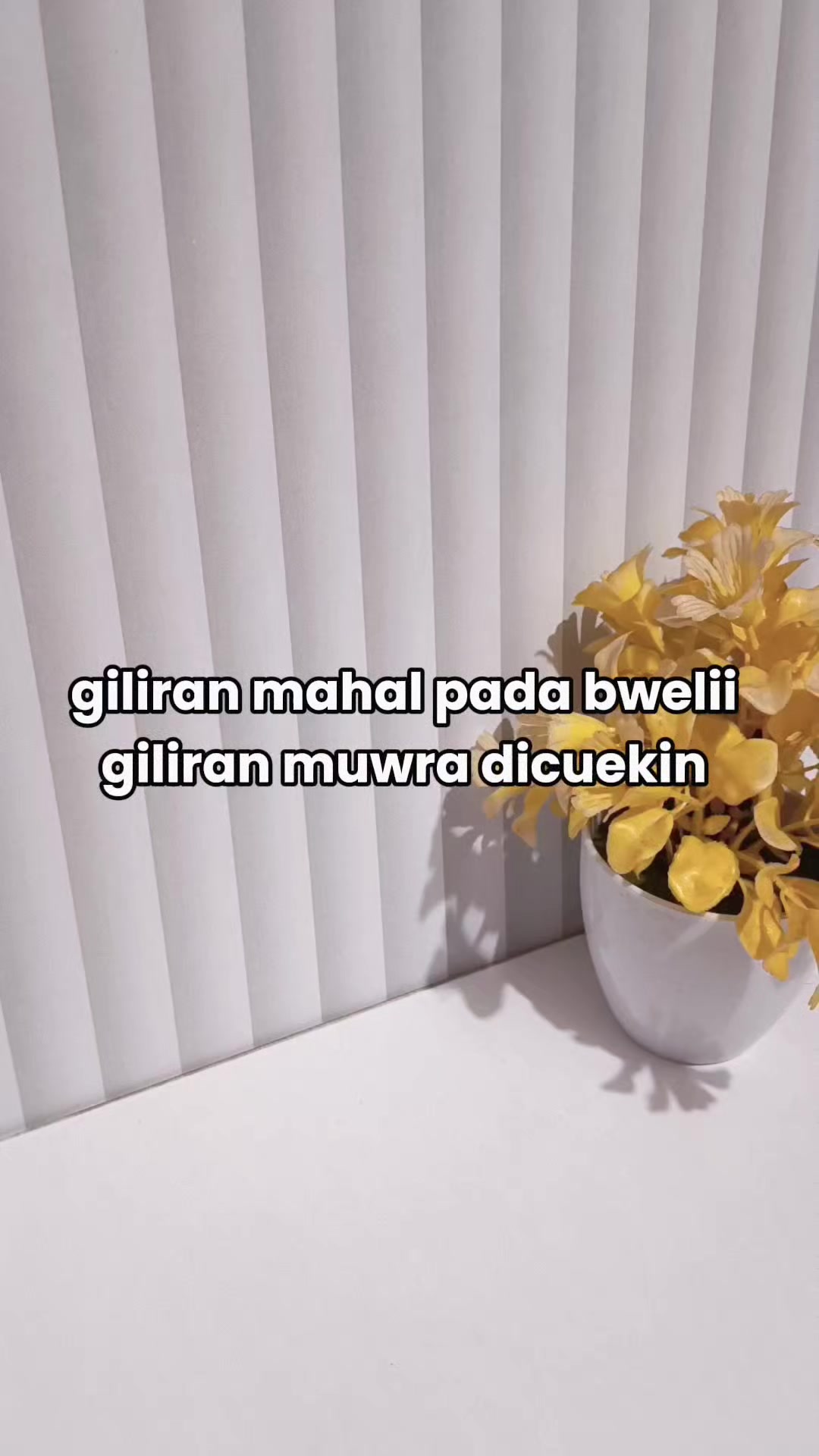 @Mami Naufal