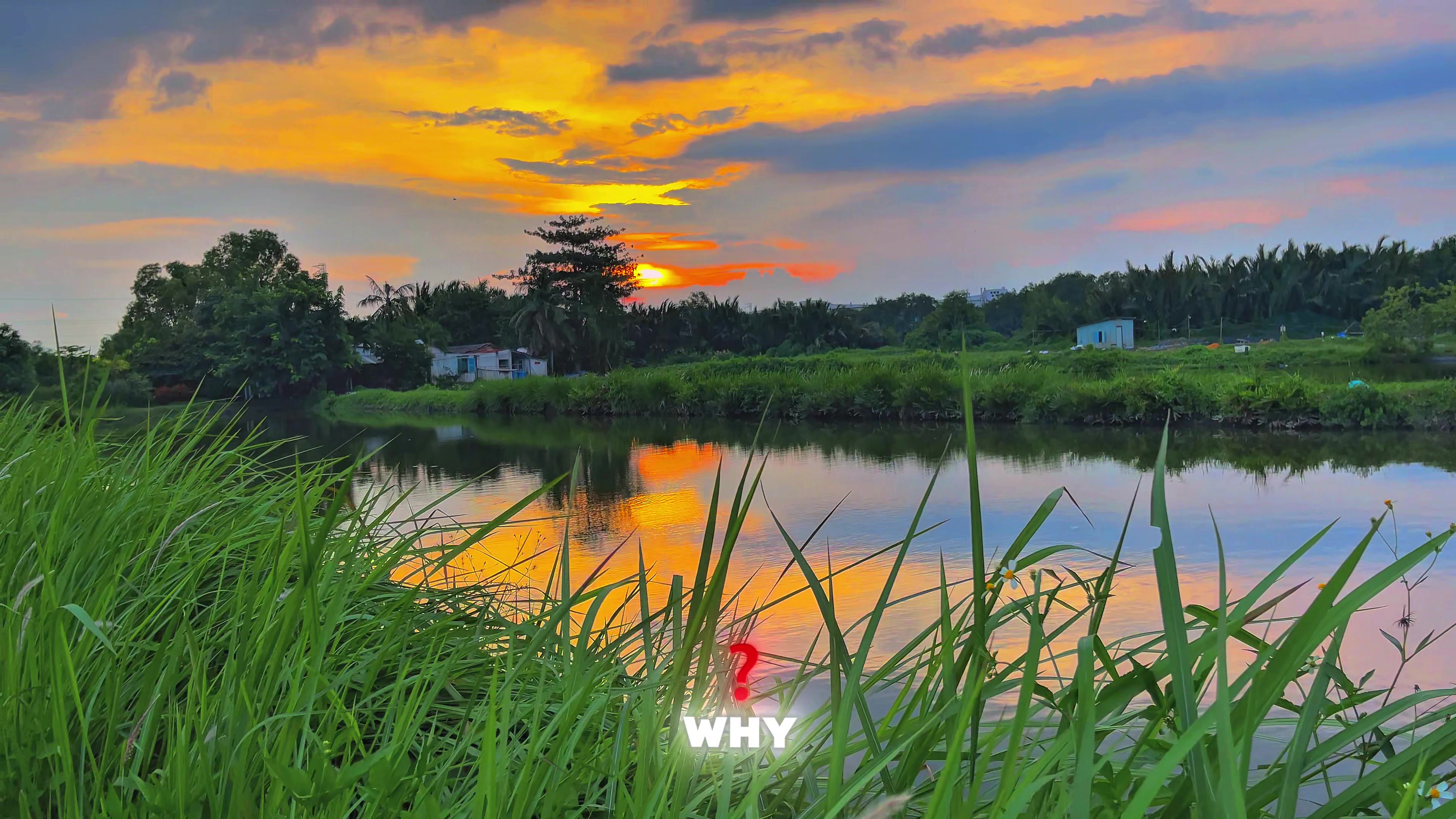 @Anh C&ocirc;ng Nh&acirc;n 📸
