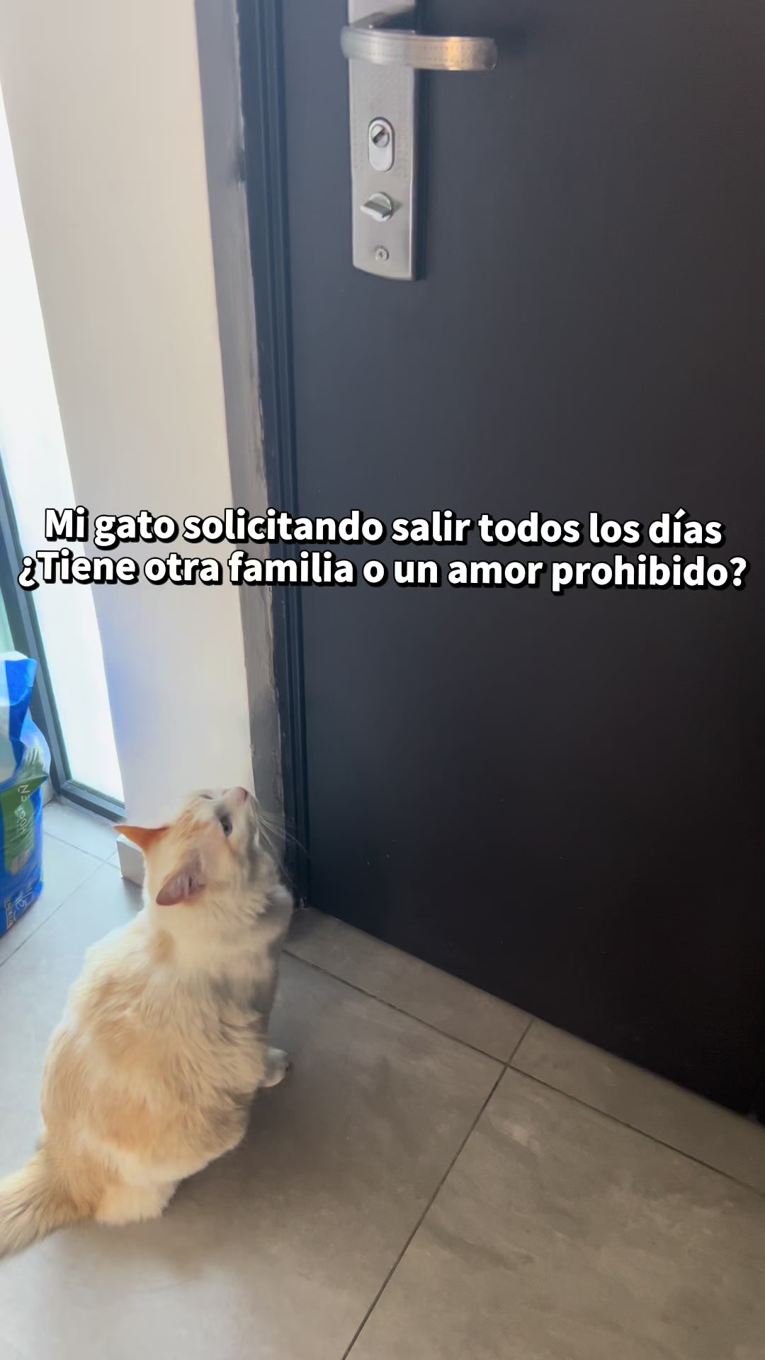 @Karen Castellanos