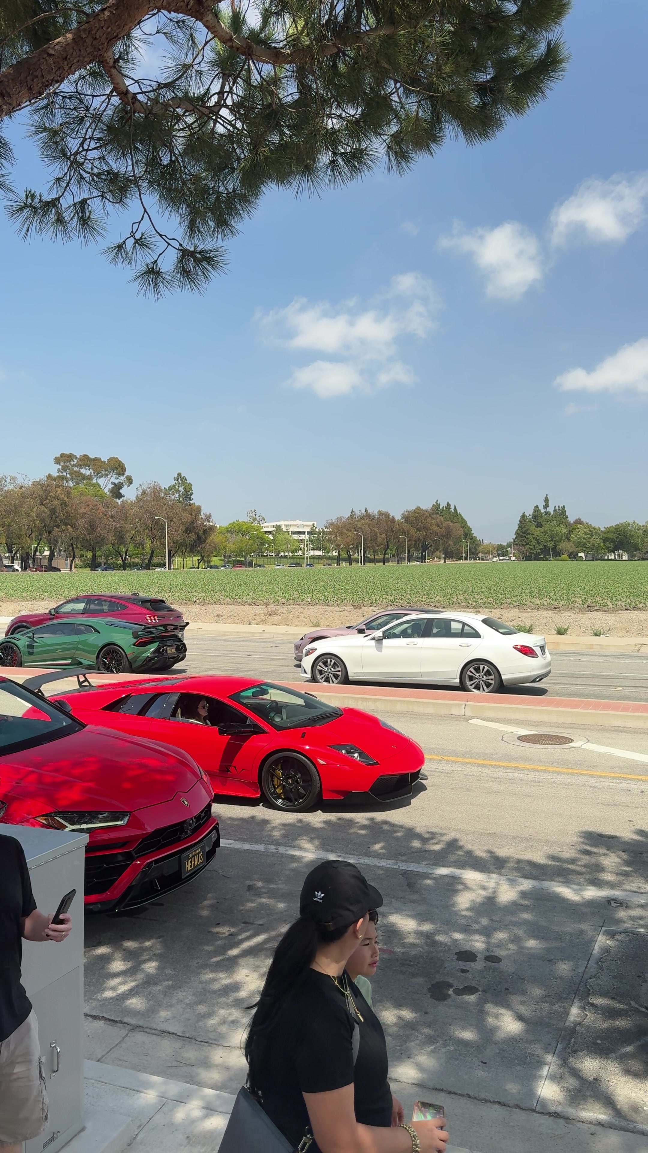 @sd__cars