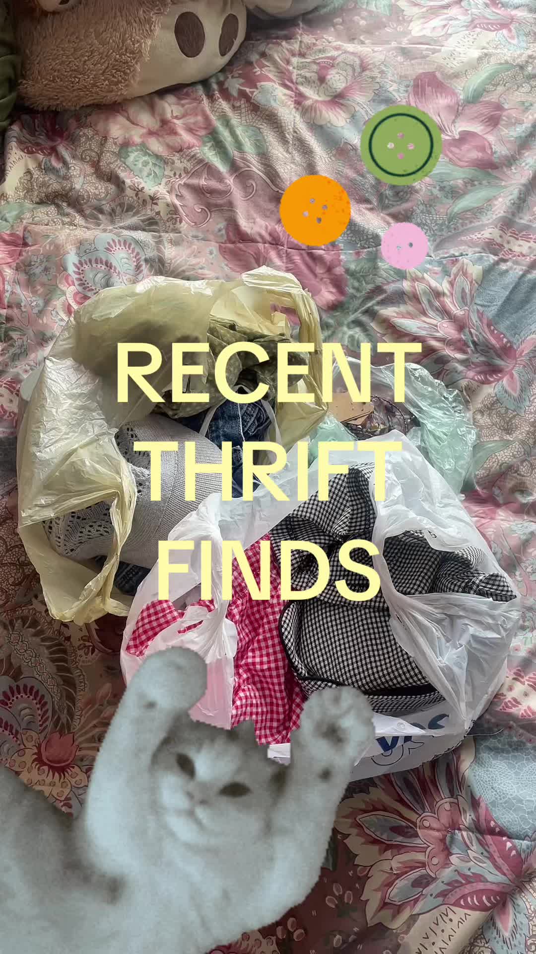 @Meg🪭