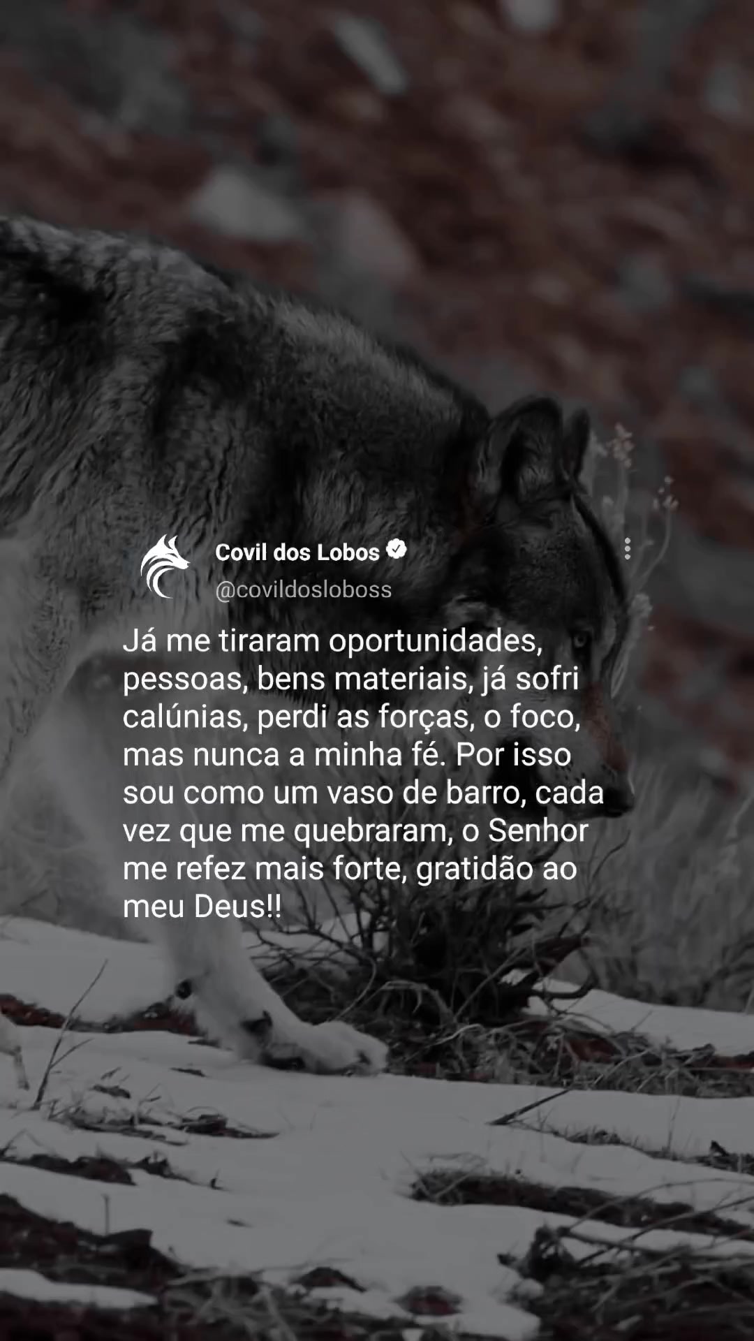 @Covil Dos Lobos