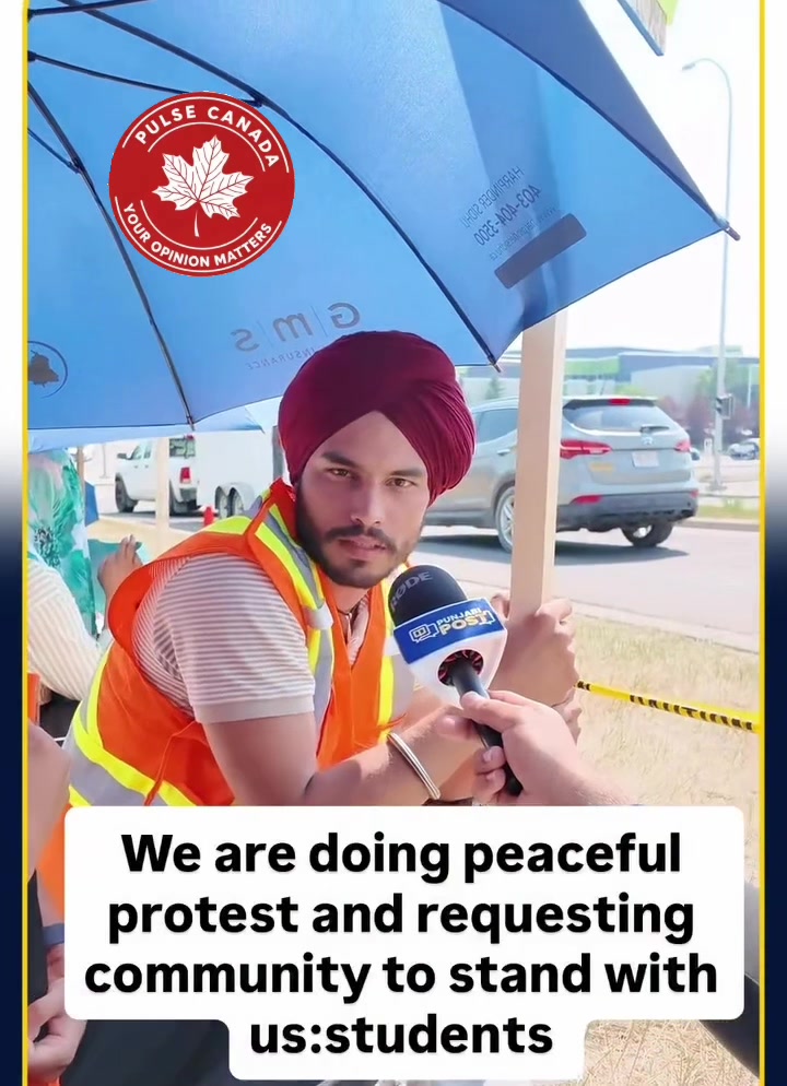 @Pulse Canada