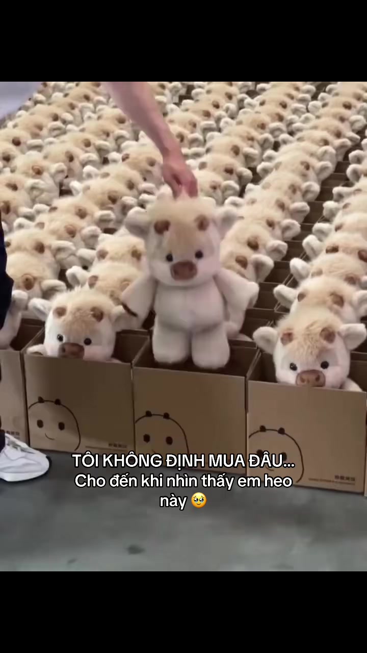 @Huaxing