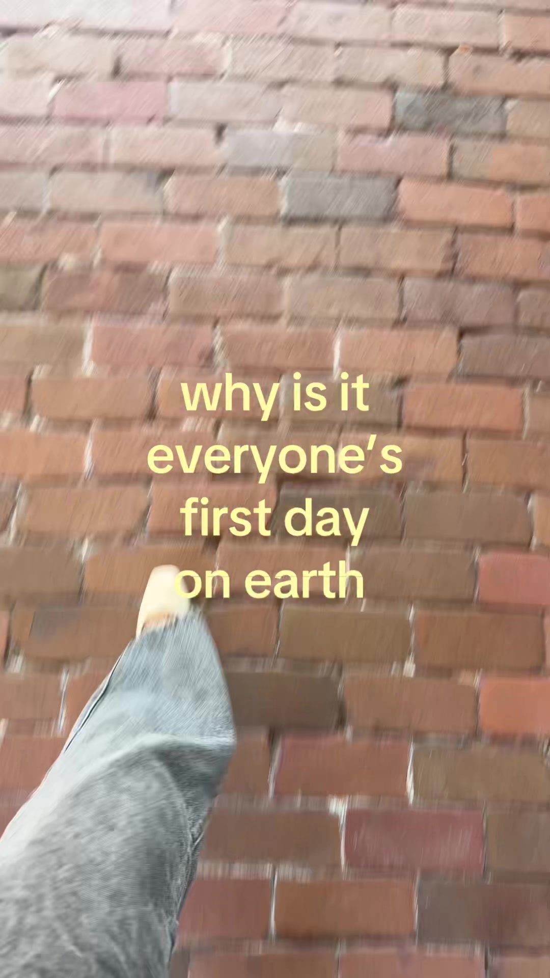 @ella