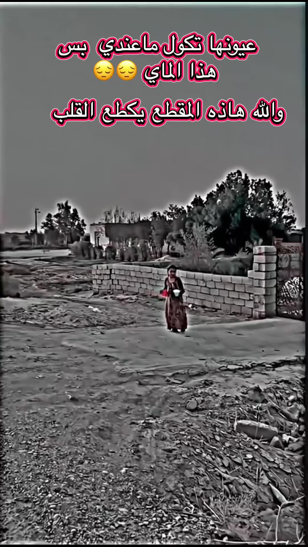 @أحمد أبو علي