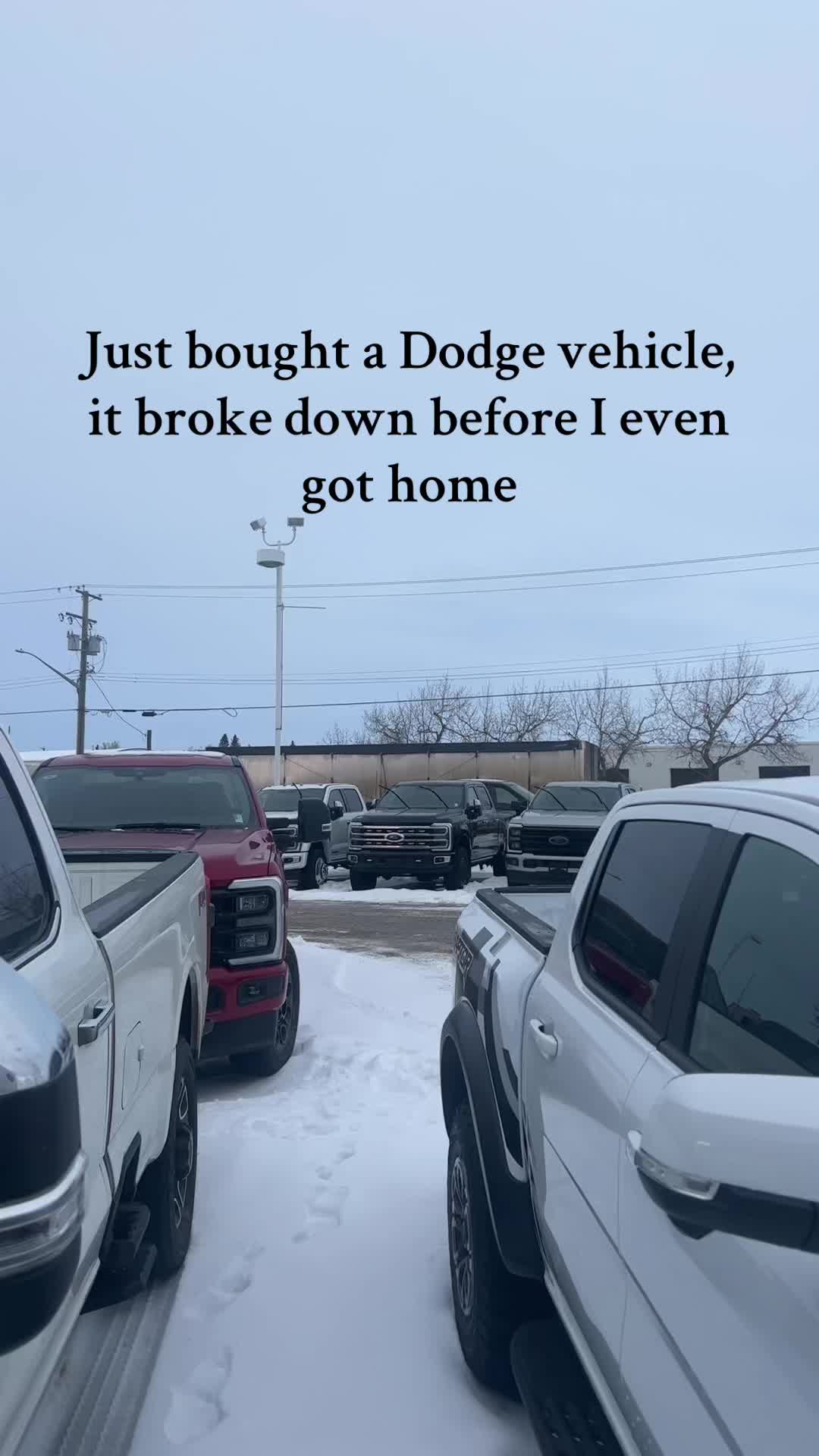 @Bannister Ford