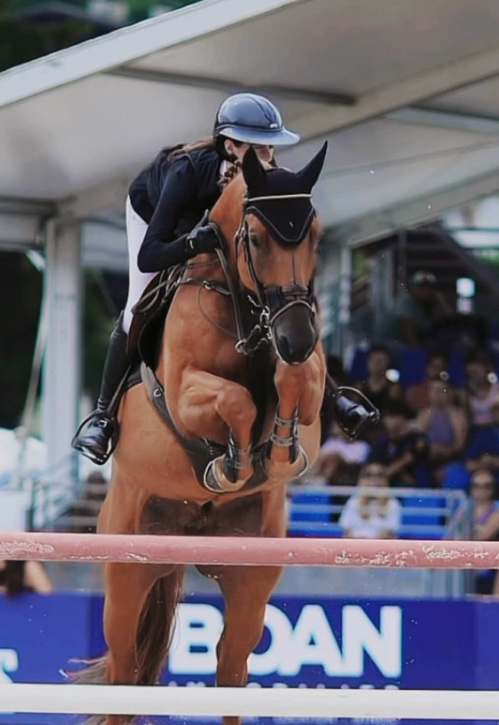 @shoot_equestres
