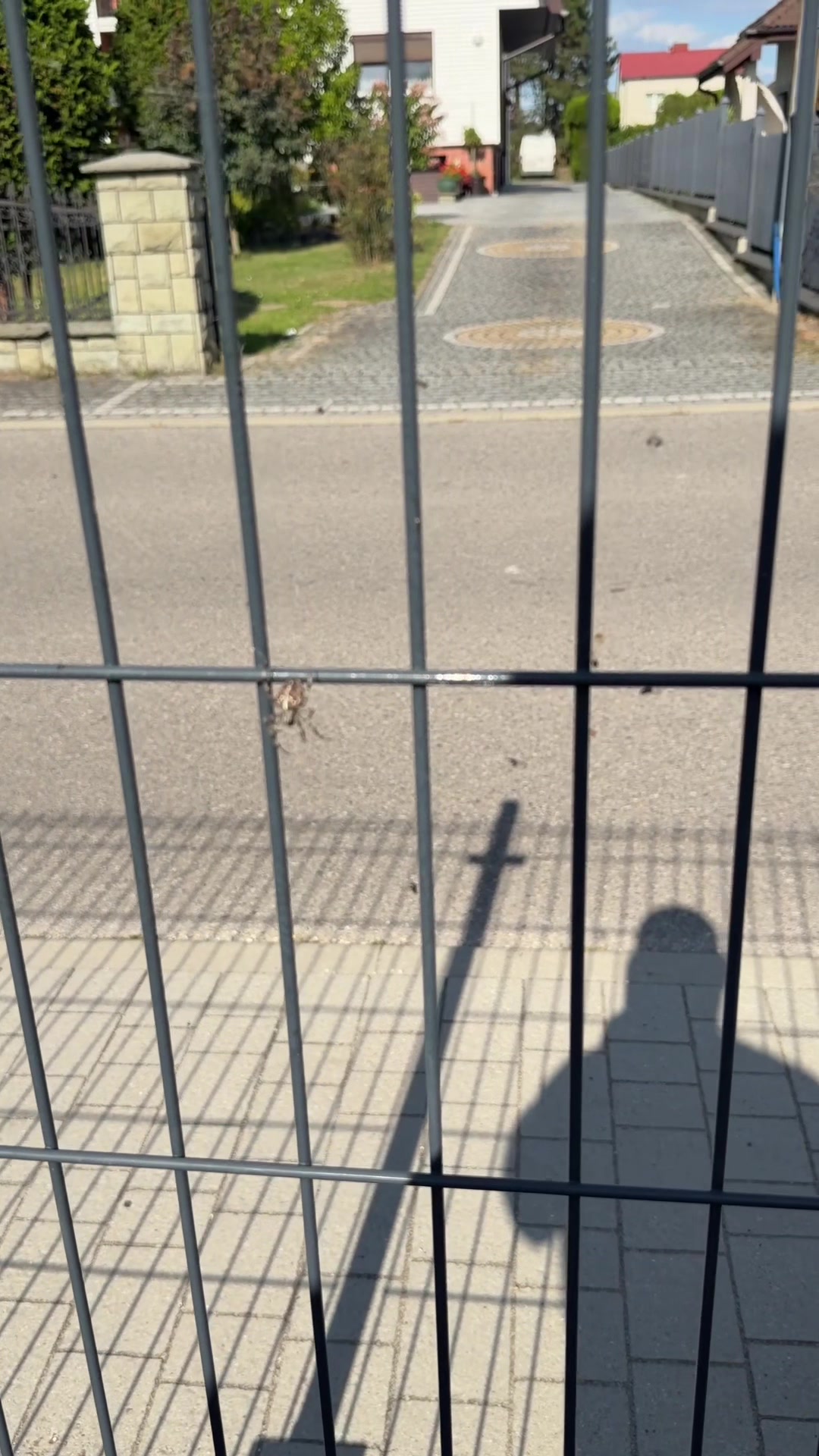 @Tomasz Pestka