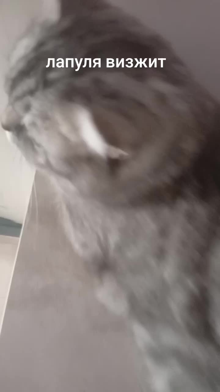 @Хонкантон