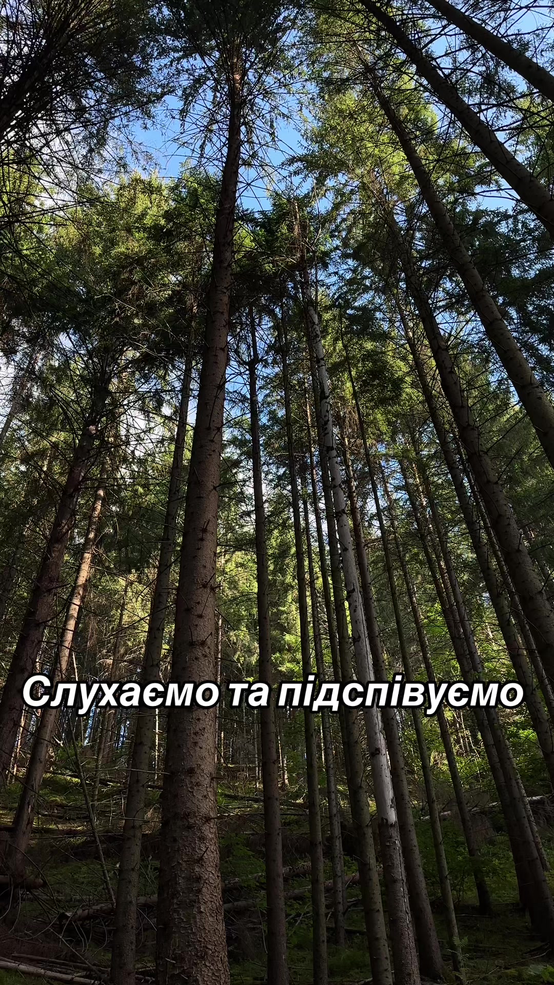 @Карпатський гуцул Любомир 2
