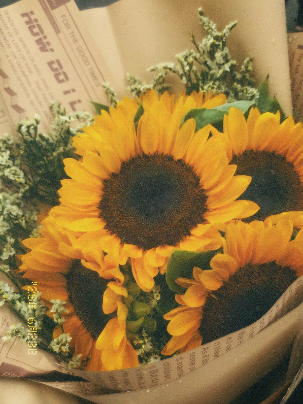 @ness࿔