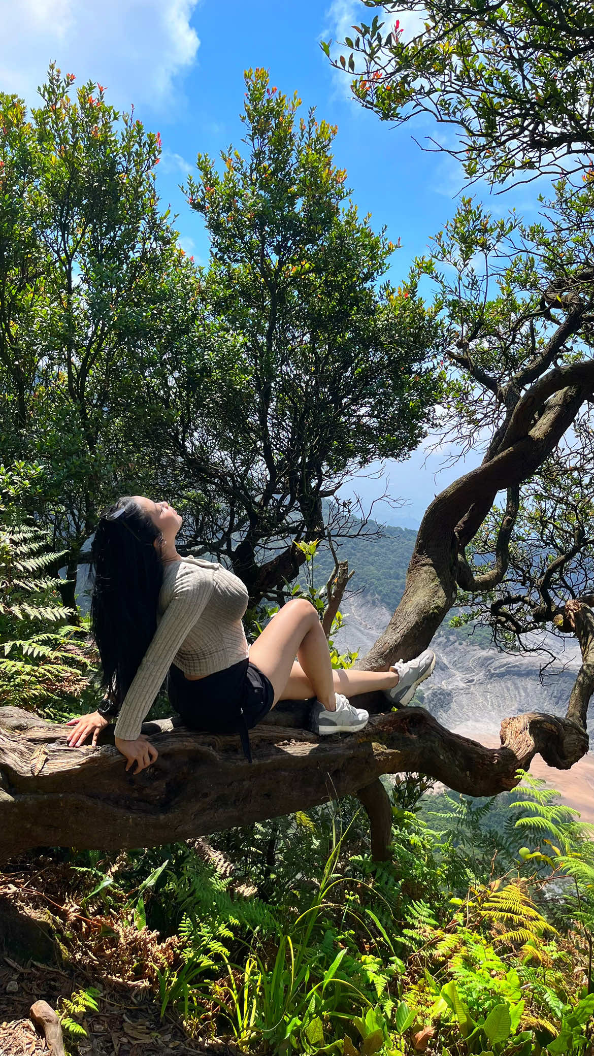 @dianakyora