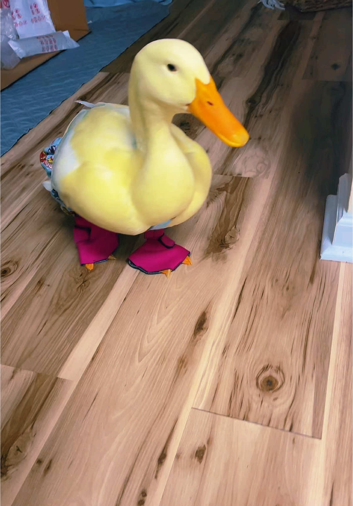 @Ashley Dickens Pope