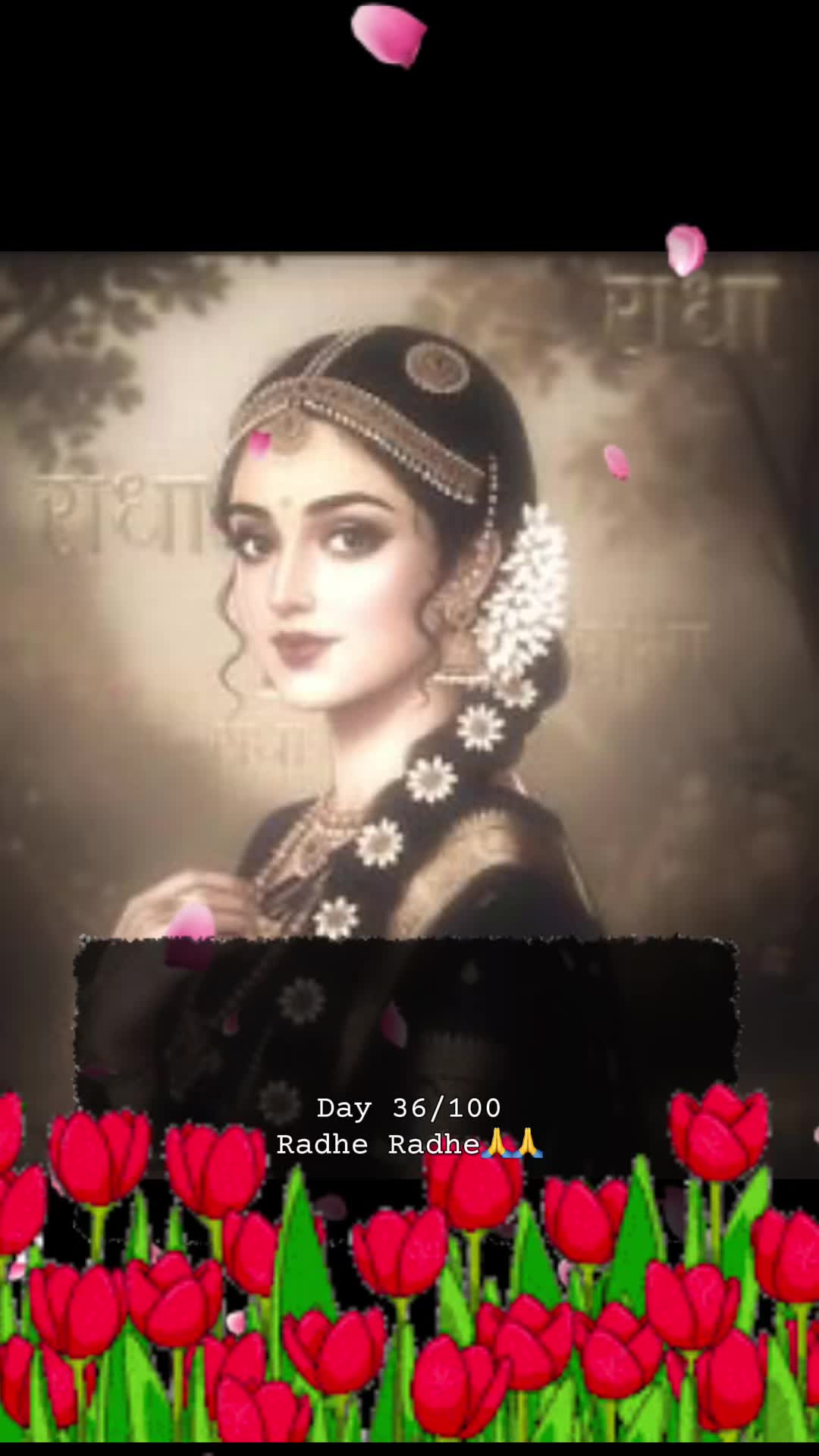@RadheKrishna🦚🦚🙏🙏