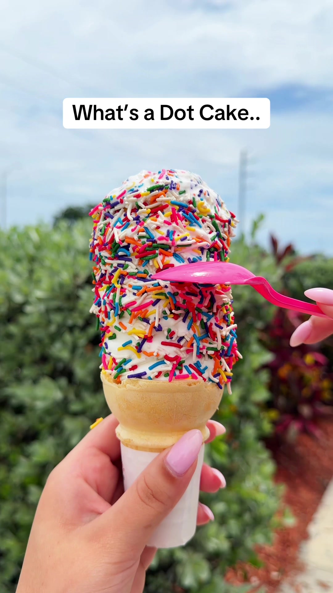 @Charlie&rsquo;s Ice Cream