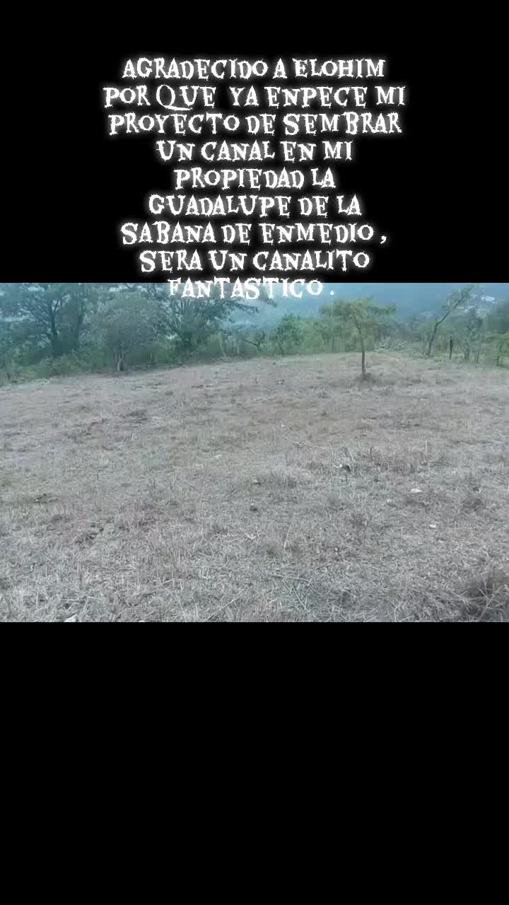 @user7944265819094