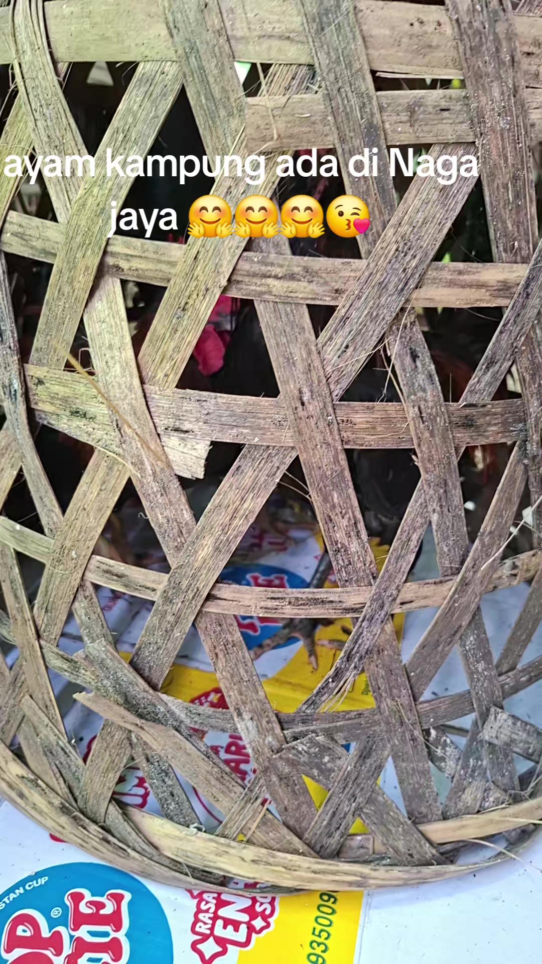 @Naga jaya