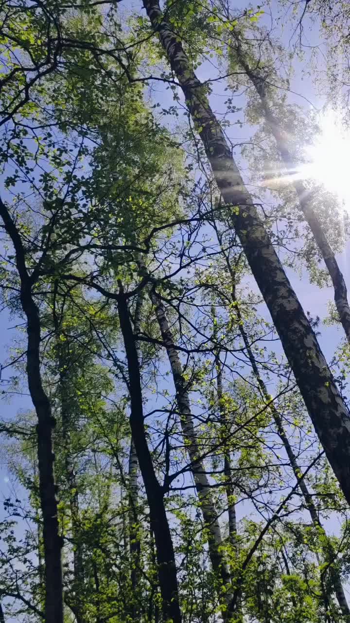 @꧁_𝐀𝐋𝐈_꧂
