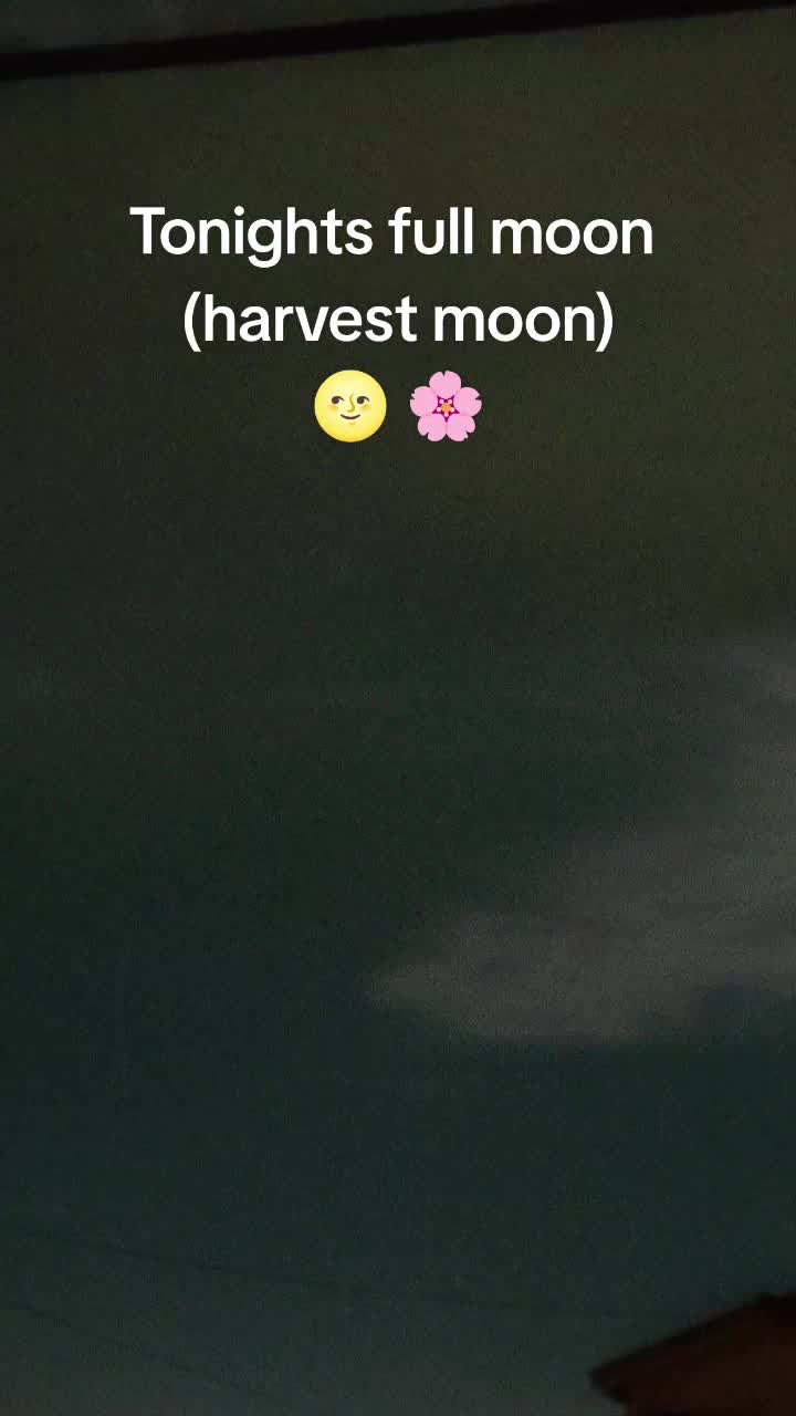 @🩷~Monika~🐼