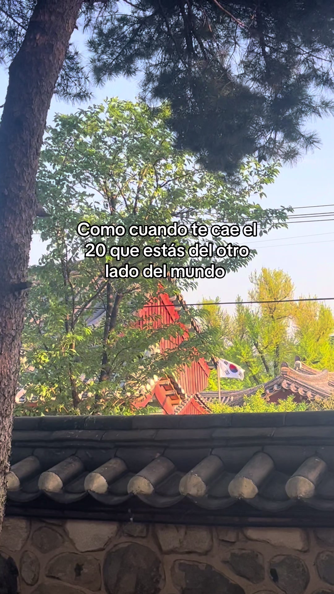 @odalischavezzz