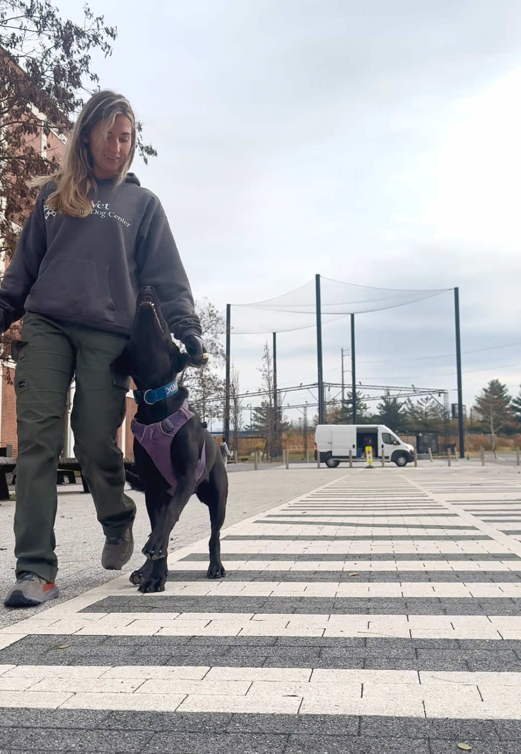 @KVK9