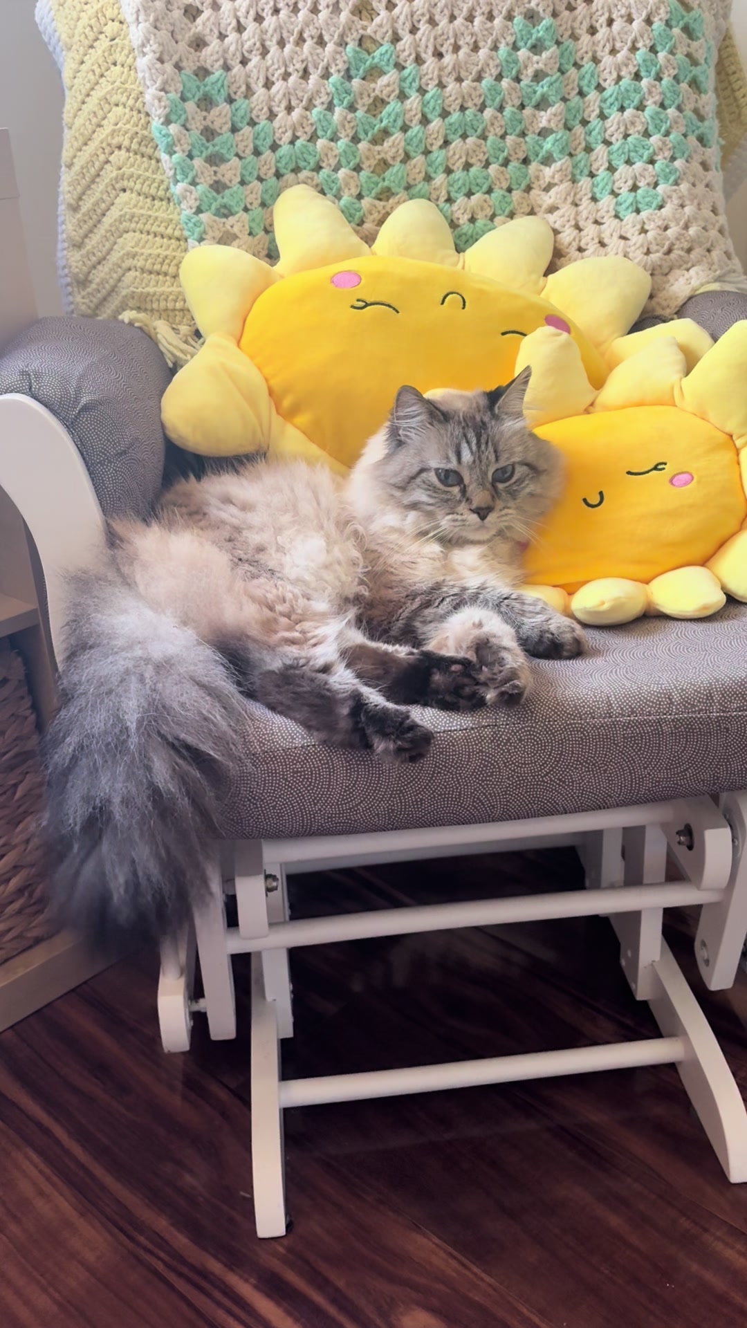 @Brock Meowsnar