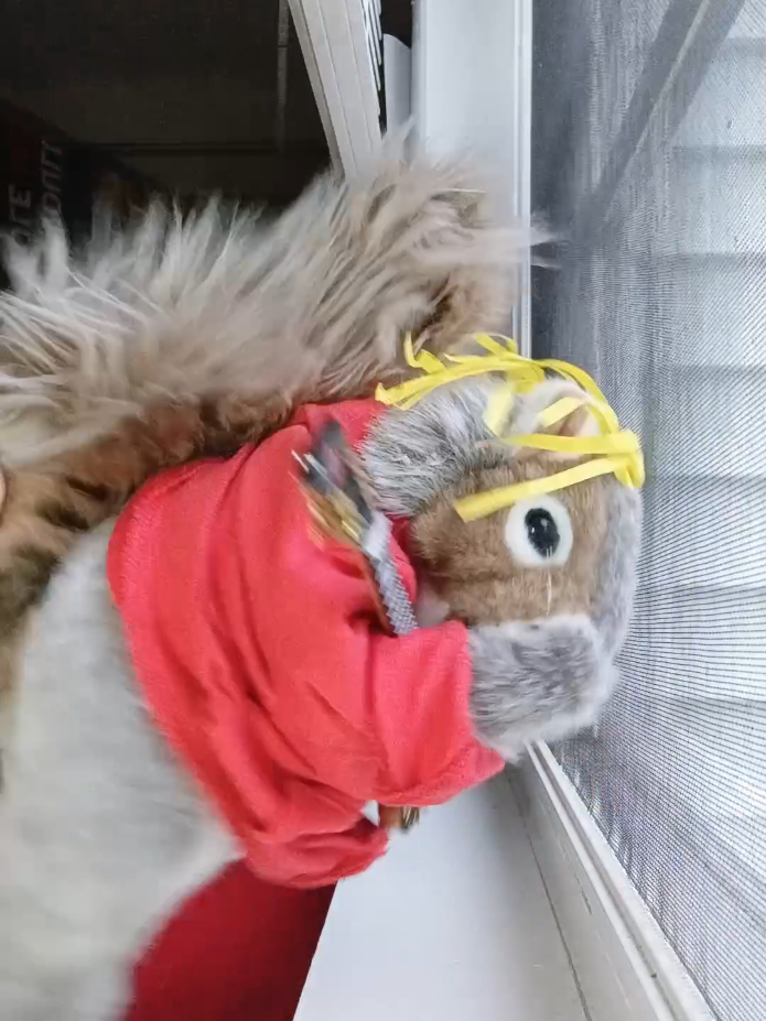 @Charles_TheSquirrel