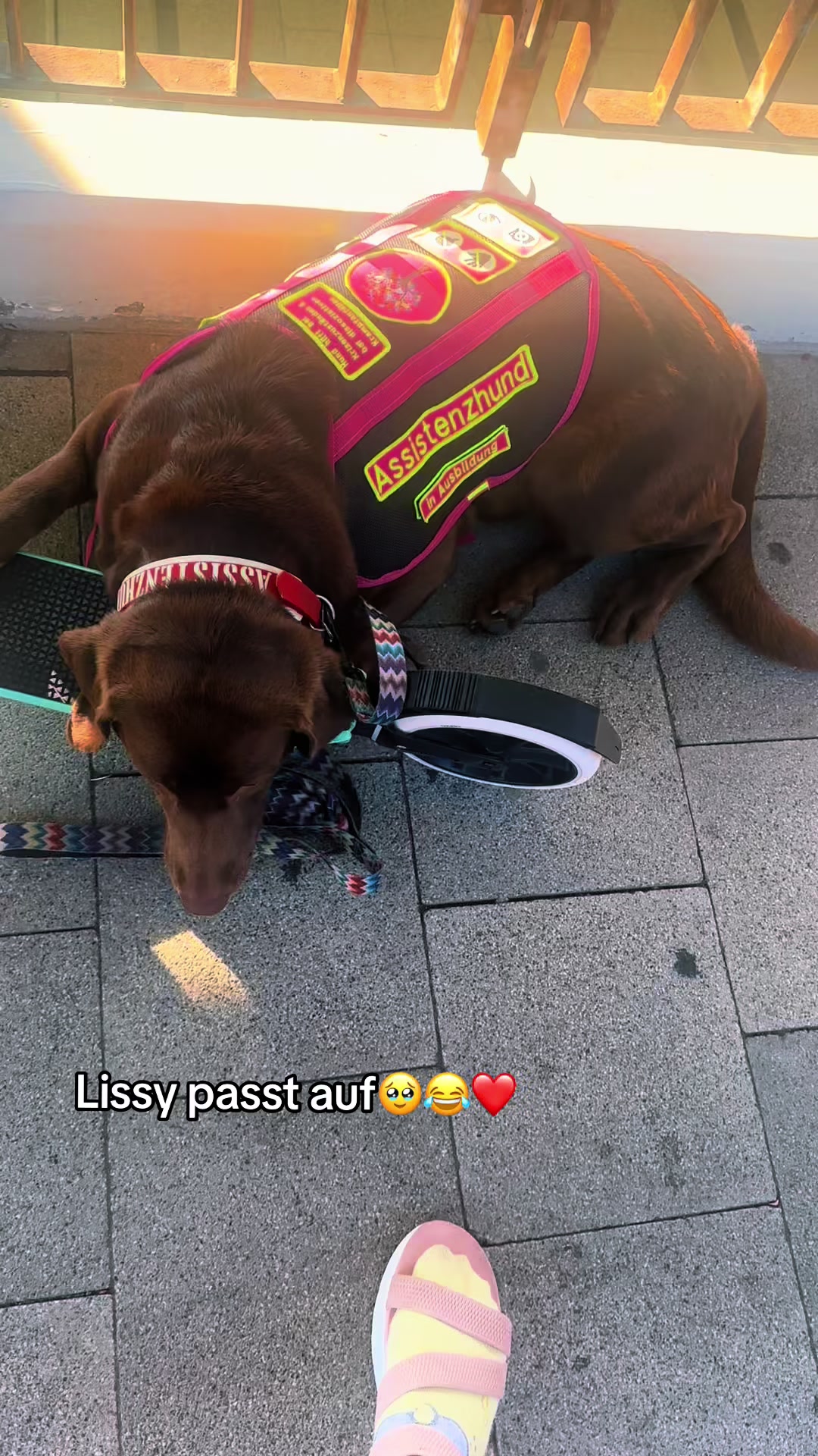 @teamlidialissy