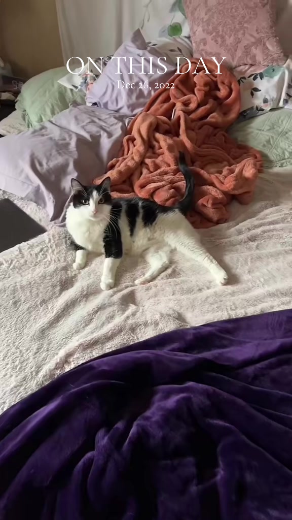 @__notamber__