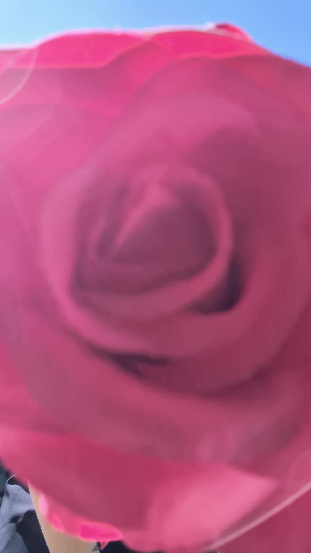 @Squirrel. Cosplay🐿️🌹