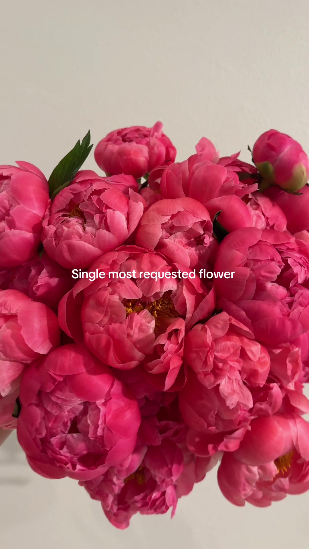 @HTX Floral & Event Designer