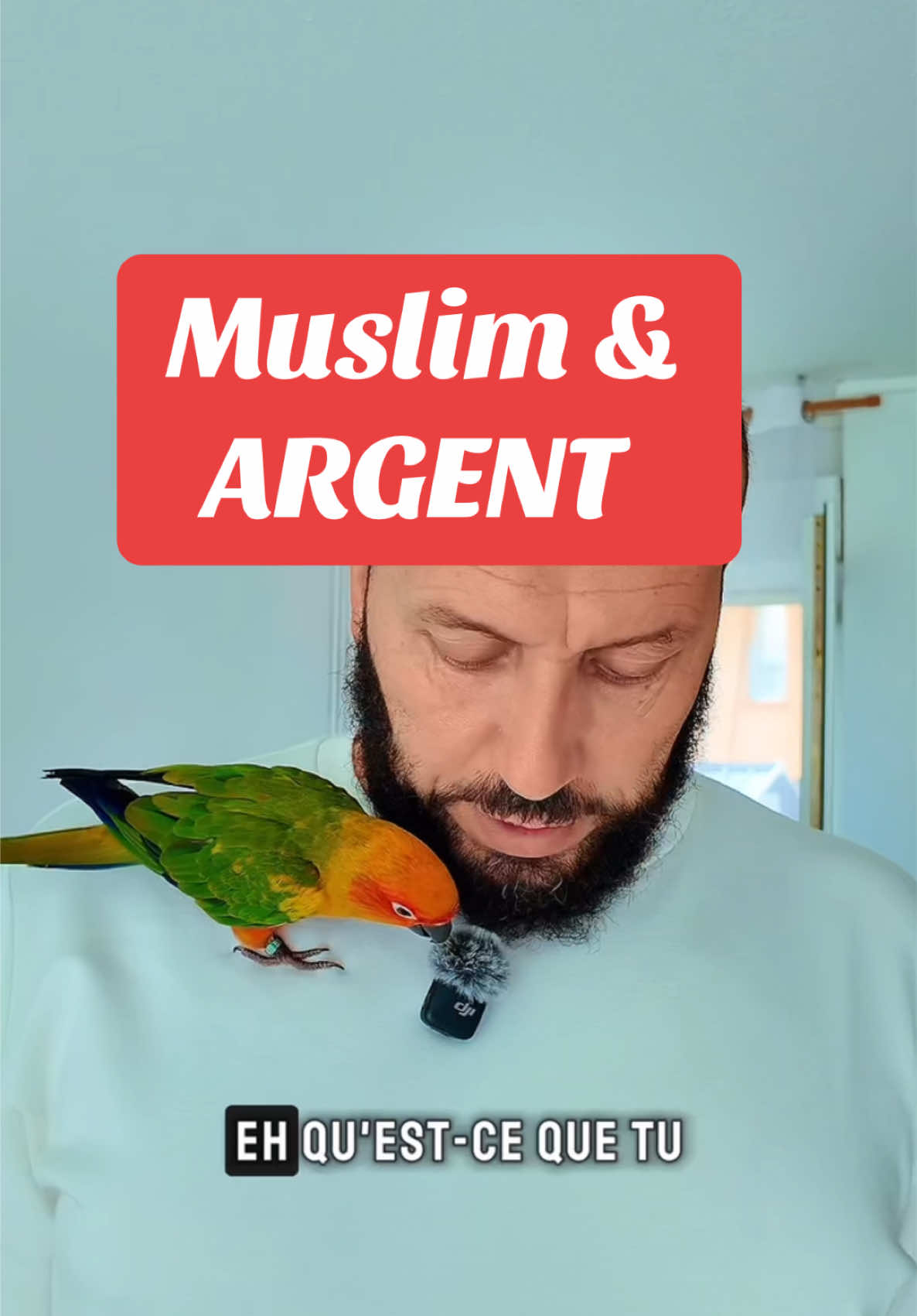 @Dr Fr&egrave;re Muz ⵣ (LaMeute) 🐺