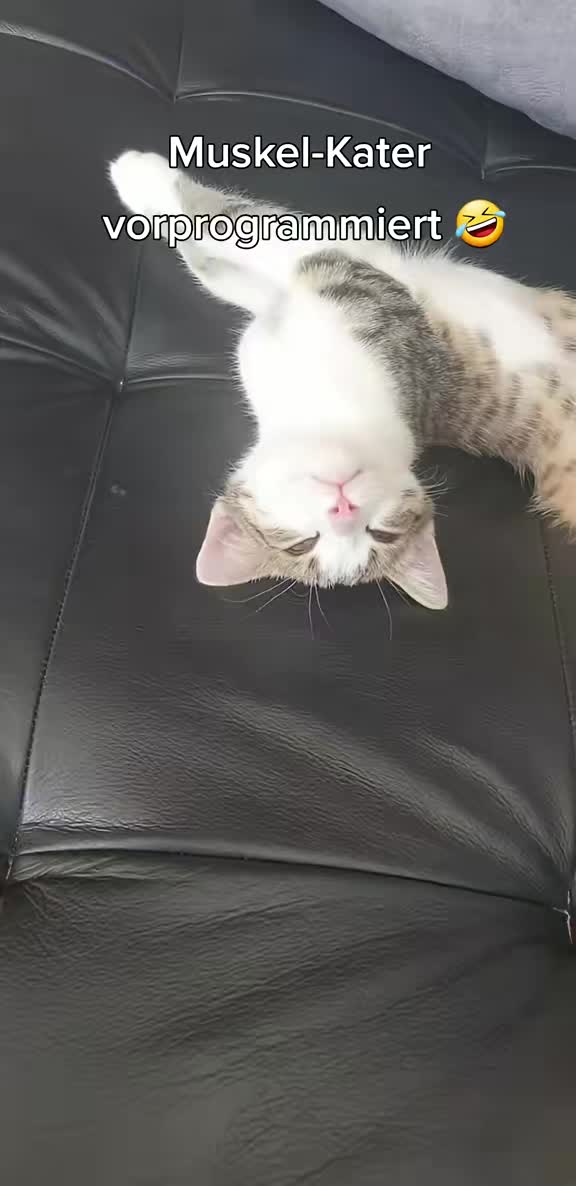 @Minnoş❤💙61