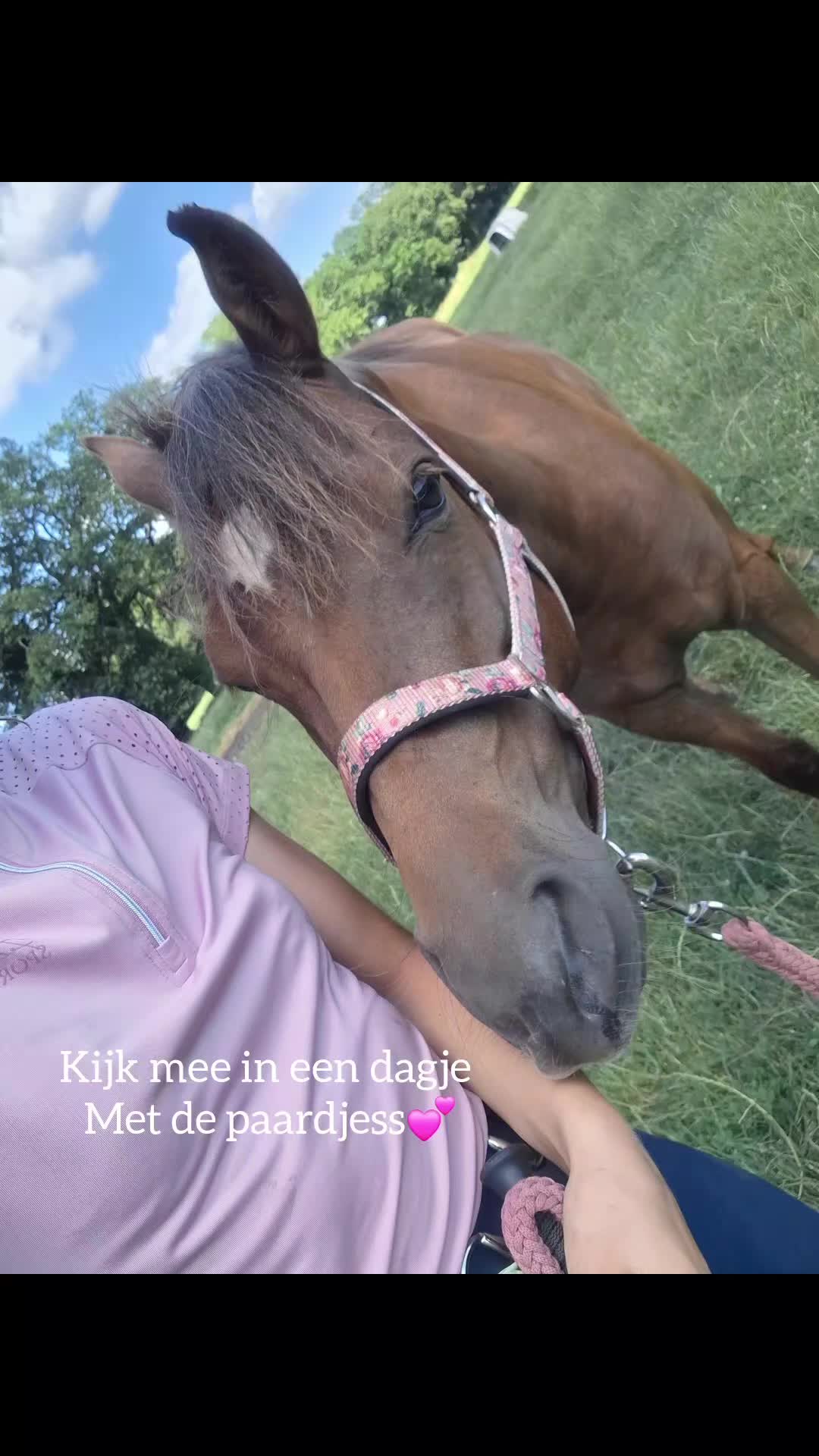 @horses.by.Britt:)