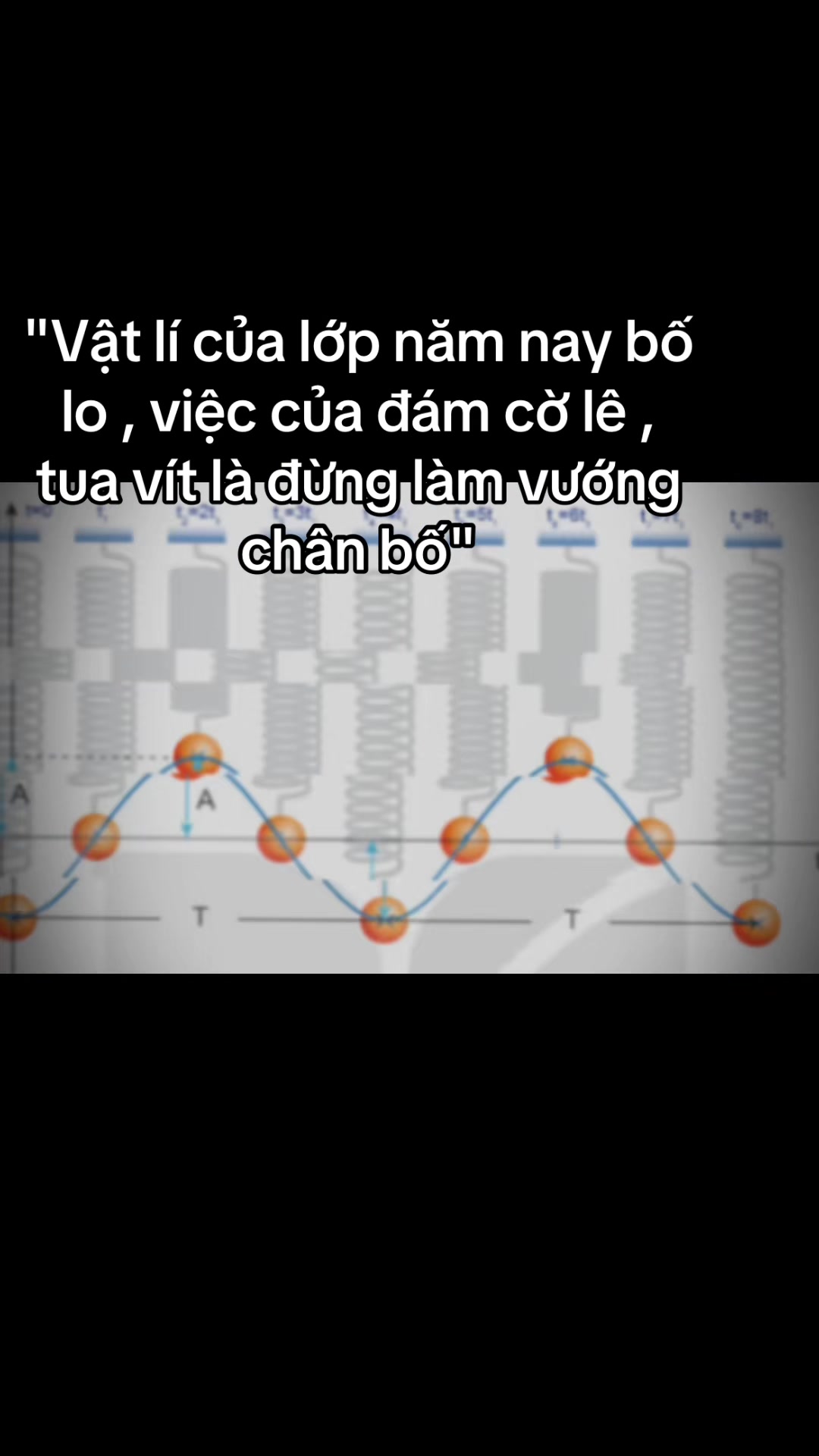 @người lì học toán
