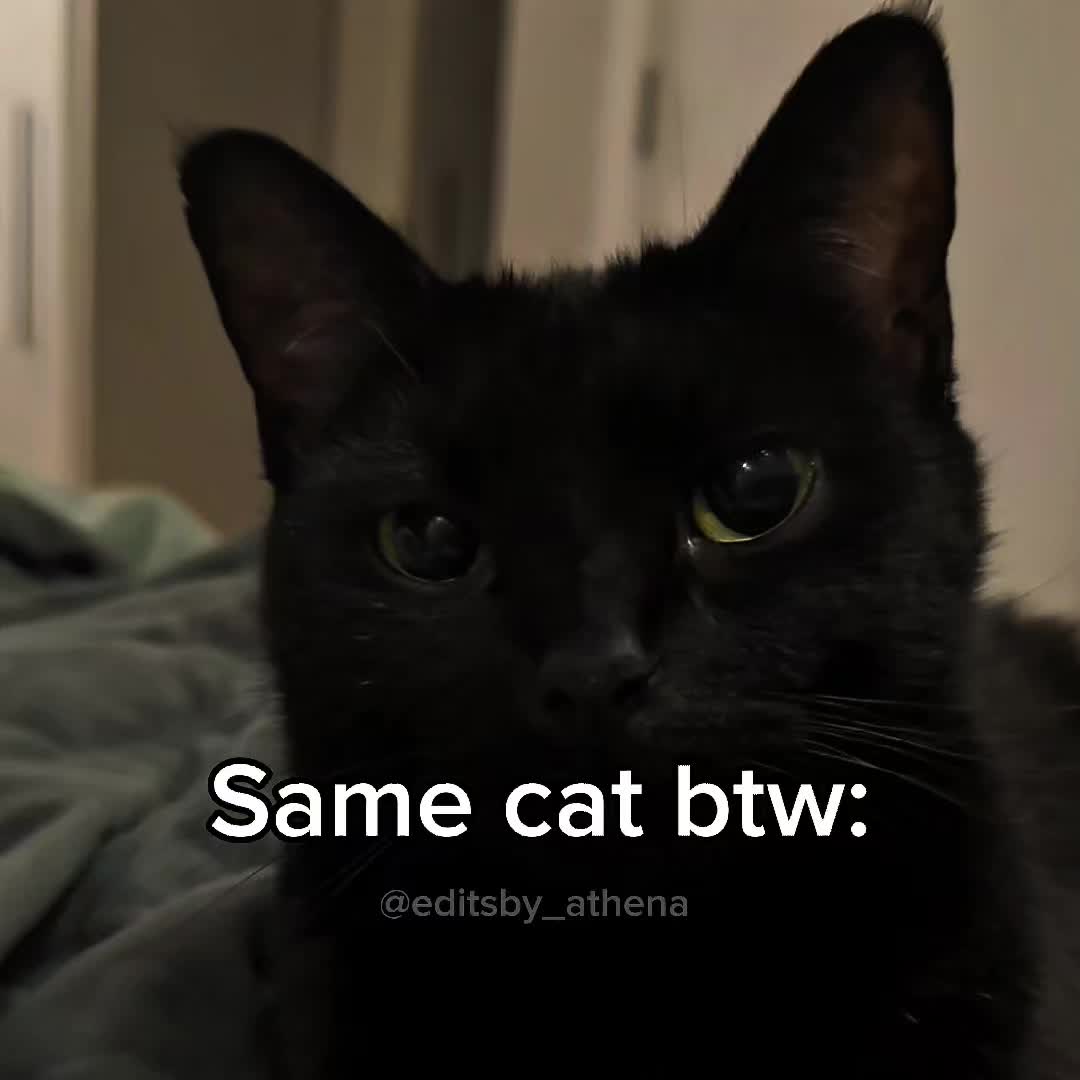 @𝐀𝐓𝐇𝐄𝐍𝐀