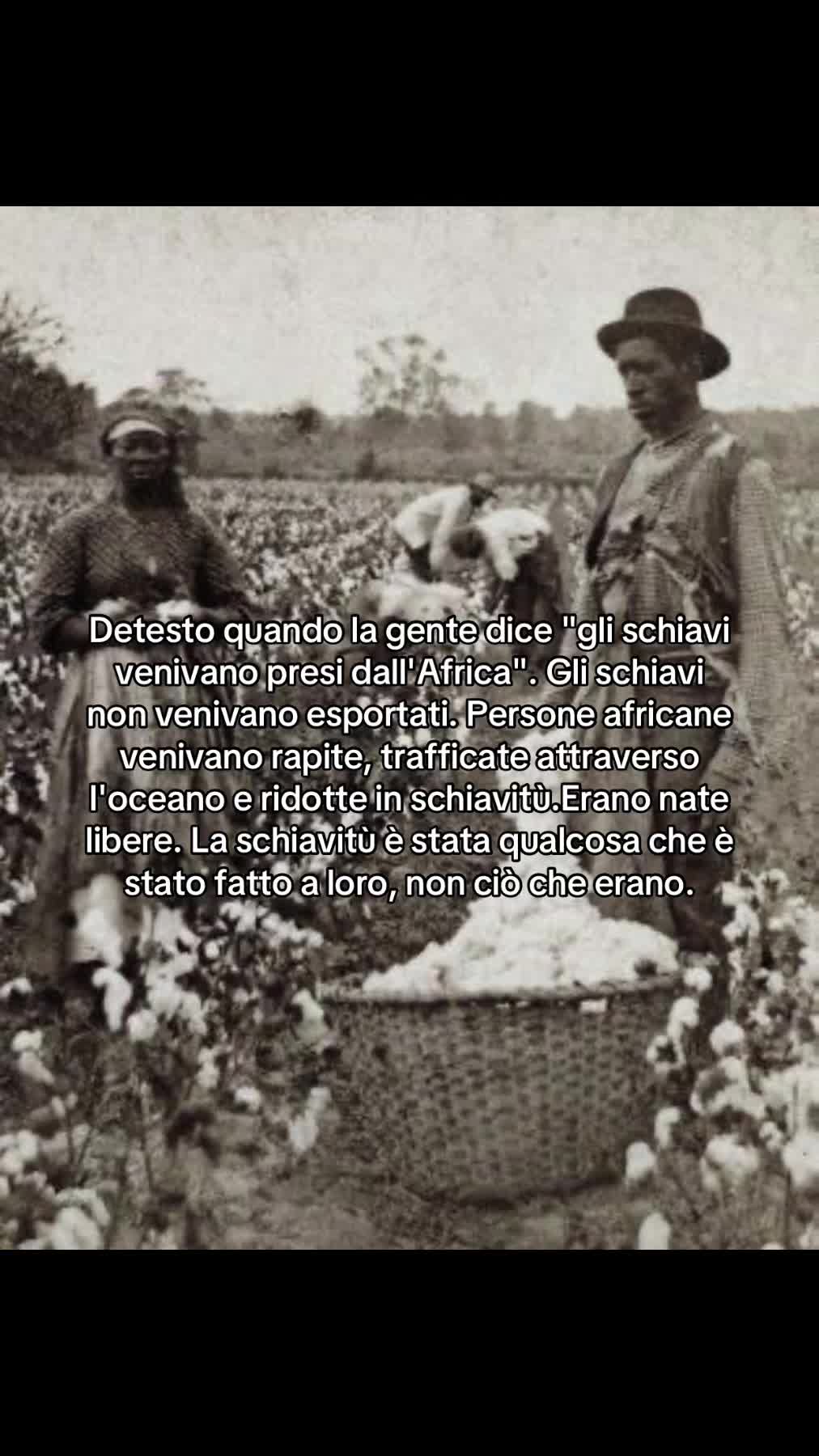 @zecca sinistroide