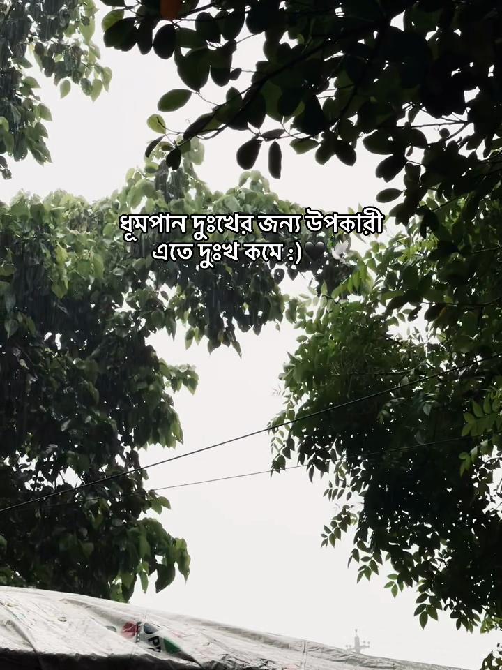 @Ṃσ𝒌𝖆ṛ𝙤ꪑ 𝐻𝙤𝔰𝔰ẳ (•◡•)