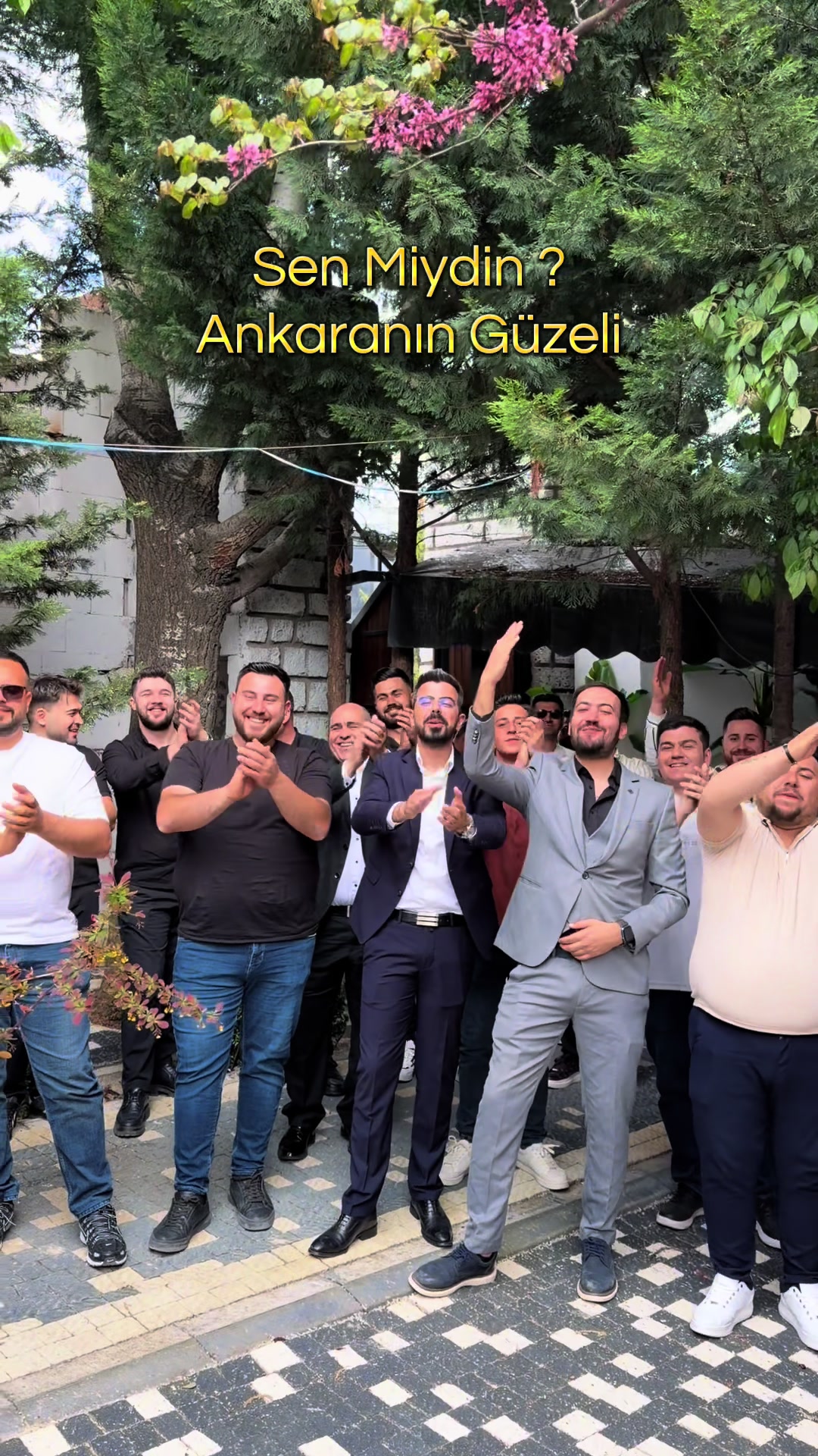 @Anıl Araz