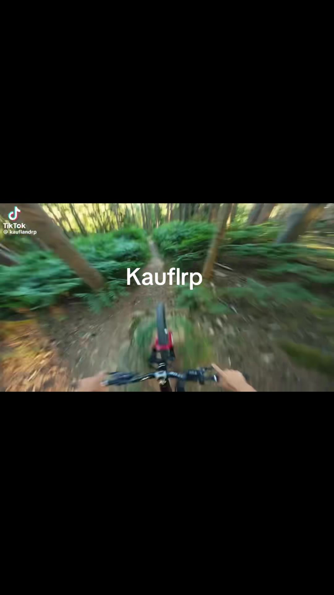 @ᴡᴏᴊᴛᴇᴋ ᴅᴇʀ ʙ&Auml;ʀ 🐻🇵🇱