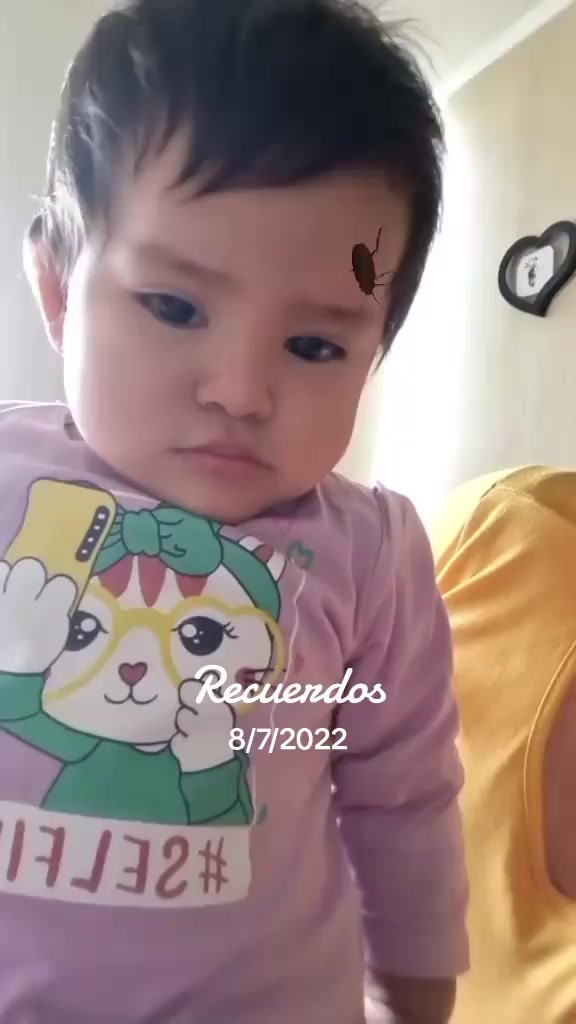 @lucitasol