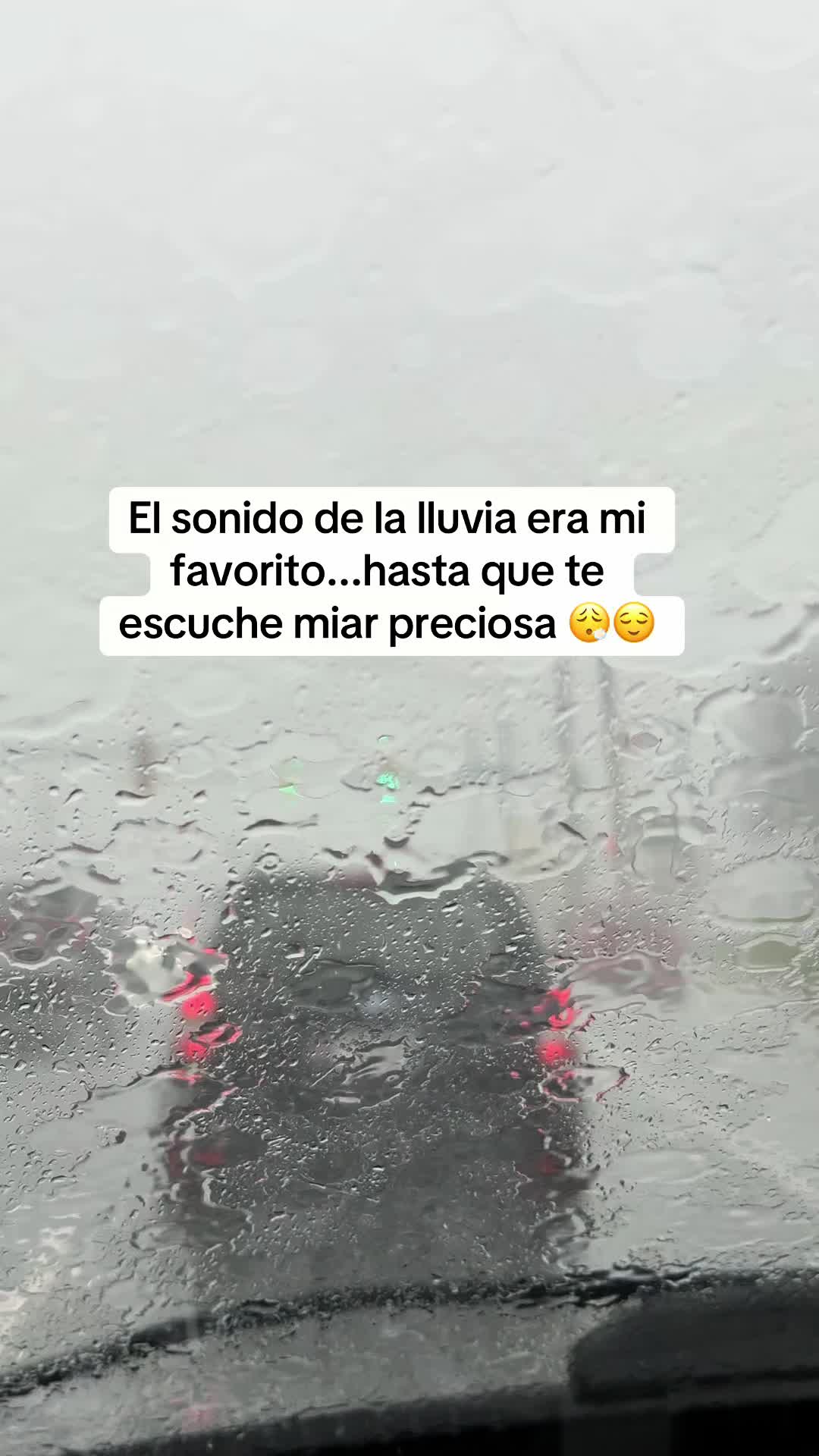 @Abel Velásquez 🦺👷♂️